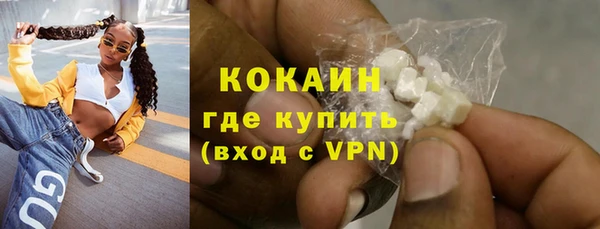 ГАЛЛЮЦИНОГЕННЫЕ ГРИБЫ Горно-Алтайск