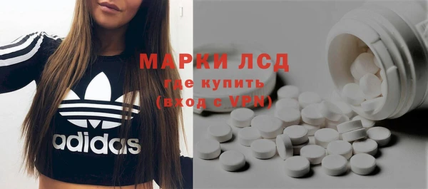 PSILOCYBIN Вяземский
