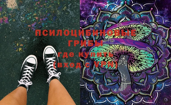 PSILOCYBIN Вяземский