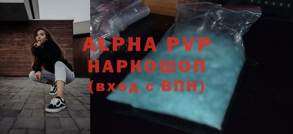 PSILOCYBIN Вяземский