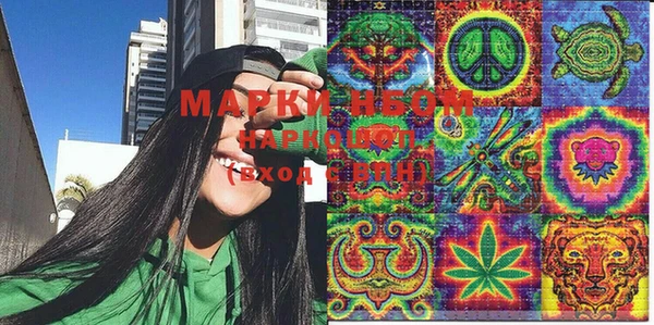 PSILOCYBIN Вяземский