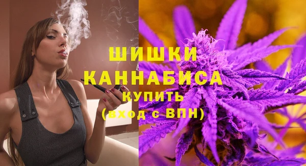 PSILOCYBIN Вяземский