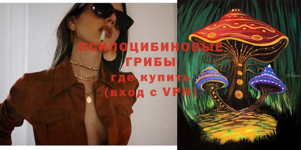 ГАЛЛЮЦИНОГЕННЫЕ ГРИБЫ Горно-Алтайск