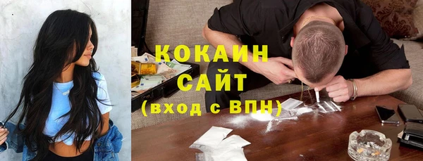 PSILOCYBIN Вяземский