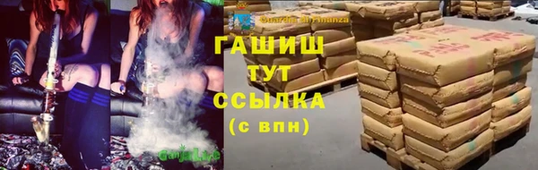 PSILOCYBIN Вяземский