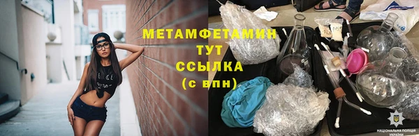 PSILOCYBIN Вяземский